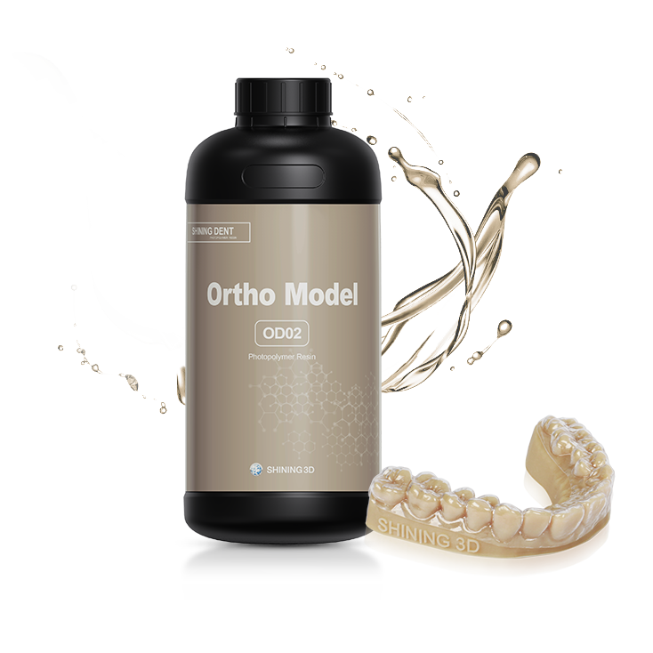 Ortho Model (OD02)